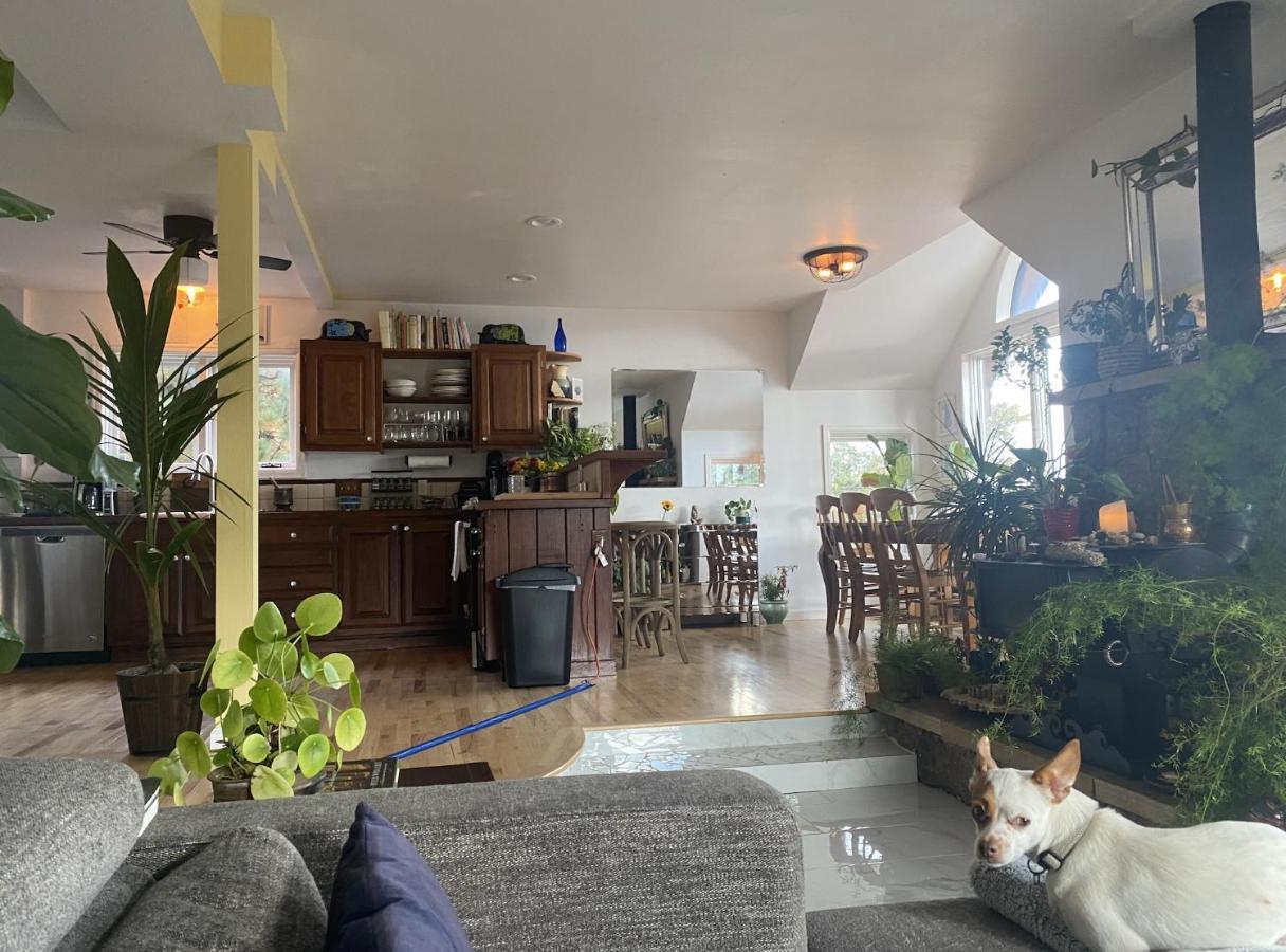 Boulder Best City And Nature With Lake And Trails Pets Ok Εξωτερικό φωτογραφία